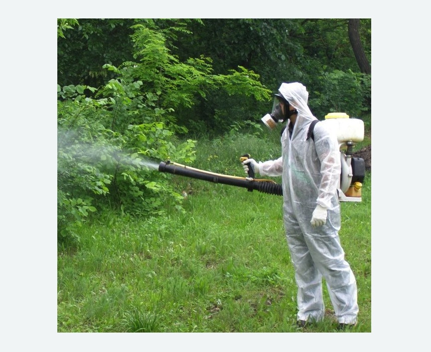 обработка территории от клещей на Соколиной горе города Москвы