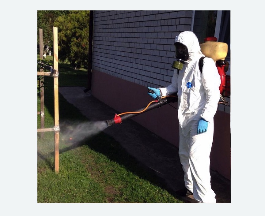 травля клещей на участке на Соколиной горе города Москвы