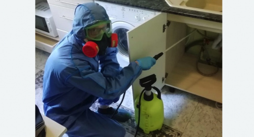 Уничтожение муравьев в квартире. Соколиная Гора