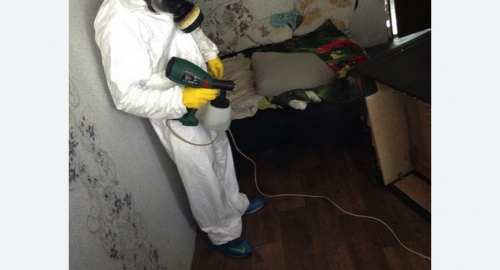 Обработка квартир от насекомых на Соколиной горе города Москвы