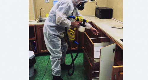 Дезинсекция квартиры. Соколиная Гора