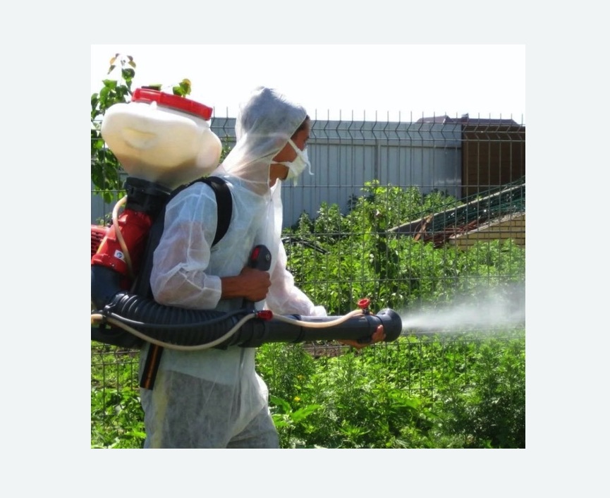 Акарицидная обработка территории на Соколиной горе города Москвы