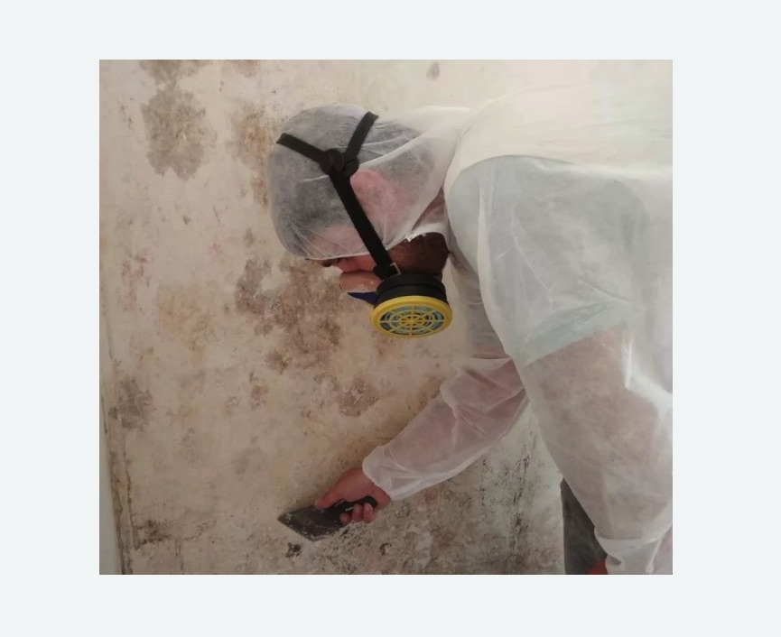 Обработка стен от плесени на Соколиной горе города Москвы