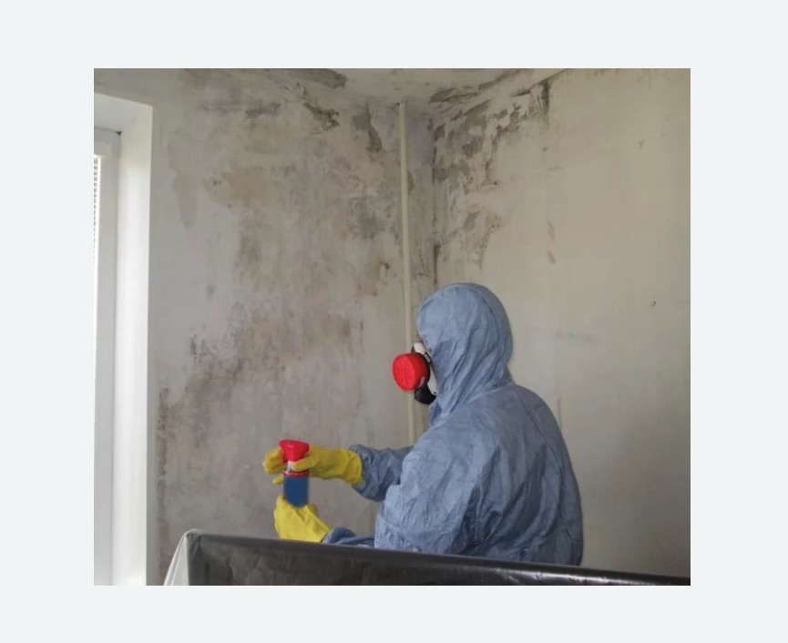 Удаление плесени в квартире на Соколиной горе города Москвы