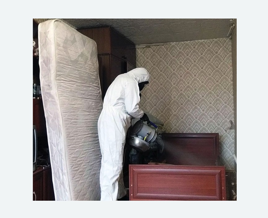 дезинфекция от клопов дезинфекция от клопов на Соколиной горе города Москвы