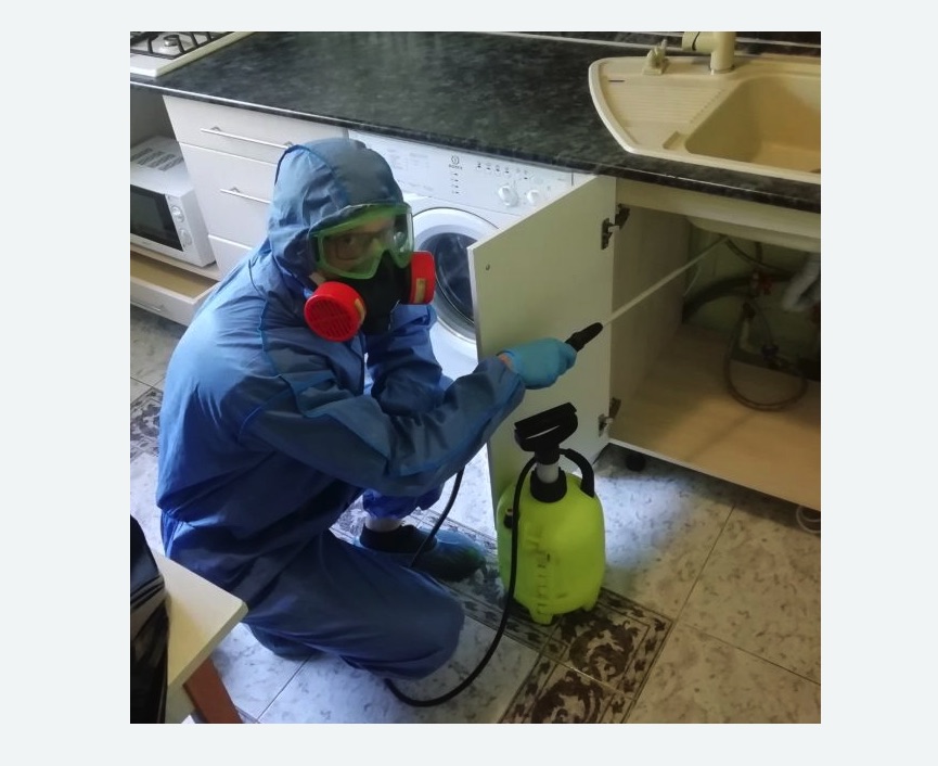 обработка от муравьев в квартире на Соколиной горе города Москвы