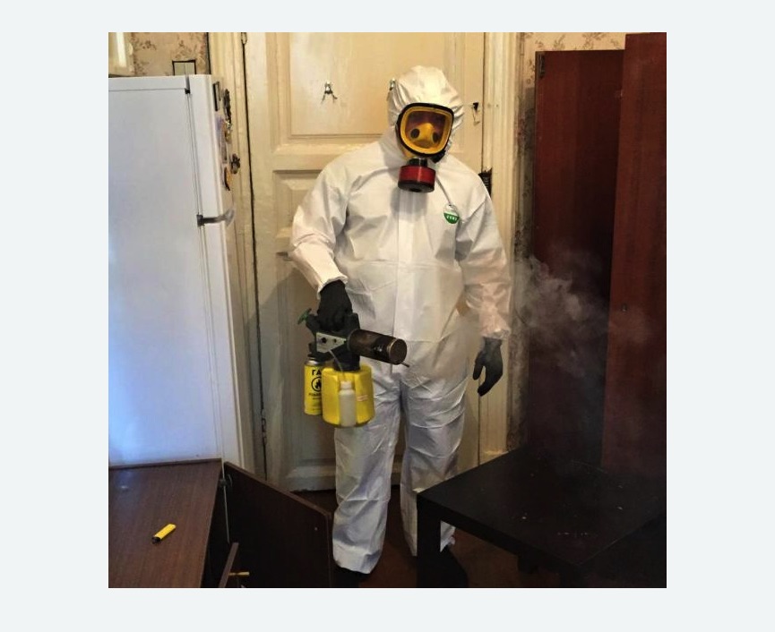 уничтожение муравьев в квартире на Соколиной горе города Москвы